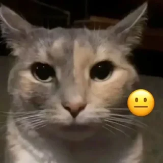 😐