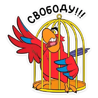 🦜