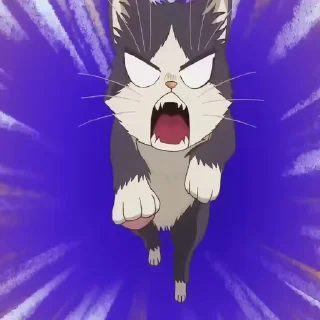 😤