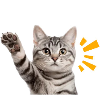 Кошачий отряд @Nyasticks2