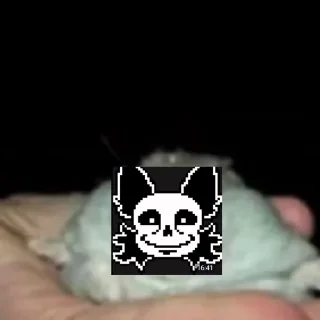 🤩
