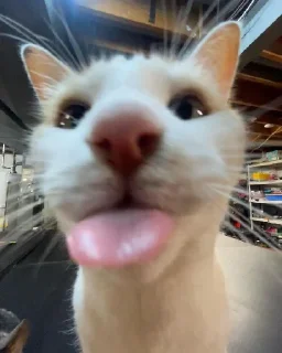 😛