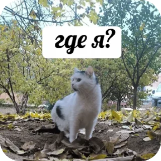 👀