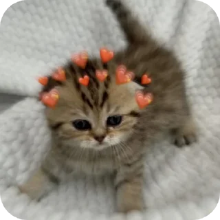 ❤