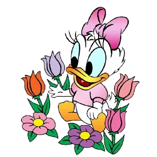 🌺