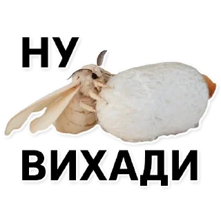 🤪