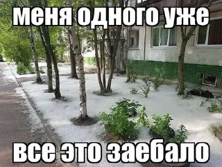 🌳