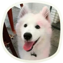 😃