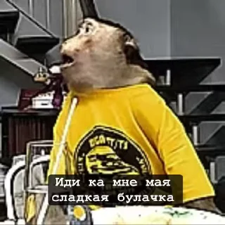 🐵