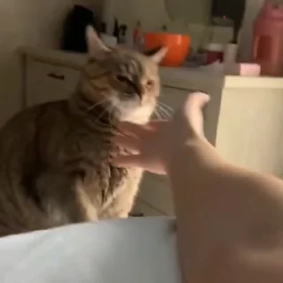 🤝