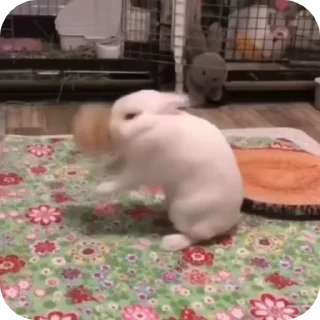 😡