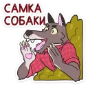 🐻