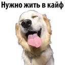 😆