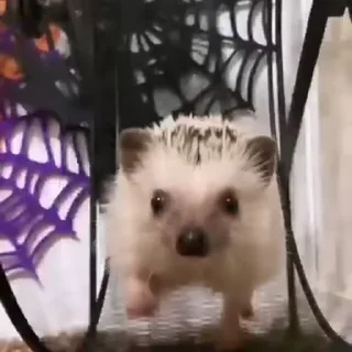 🙃