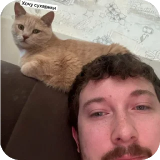 🐱