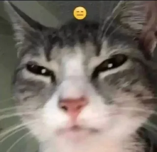😑