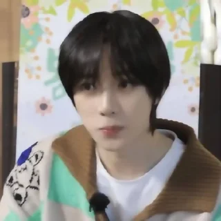 🐻