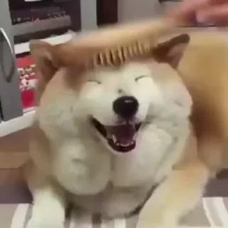 😊