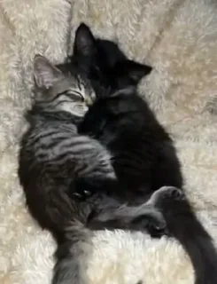 ❤️