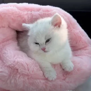 ☺️