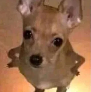 🤩