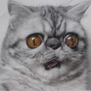 😱