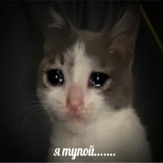 😭