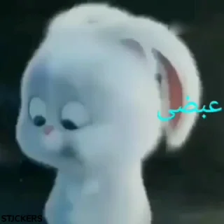 😾