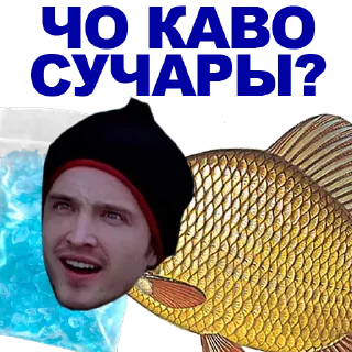 🐠