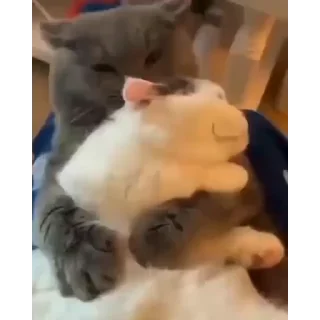 ❤️