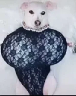 🍒