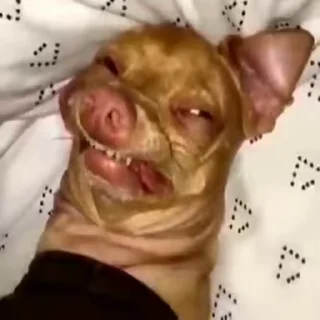 😜