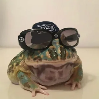 😎