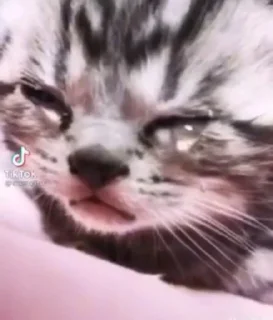 😭