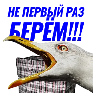 1️⃣