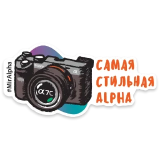 😎