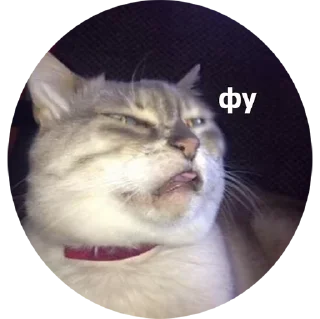😖