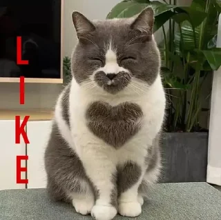 👍