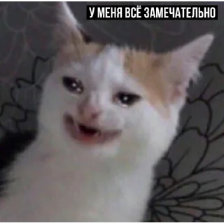 😅