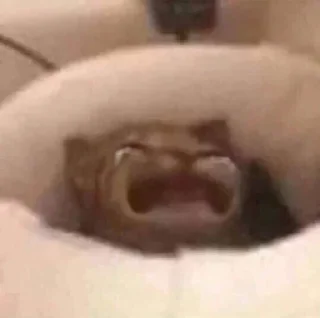 😭