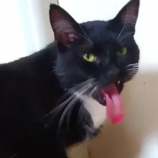 🤢