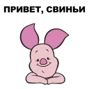 🐷