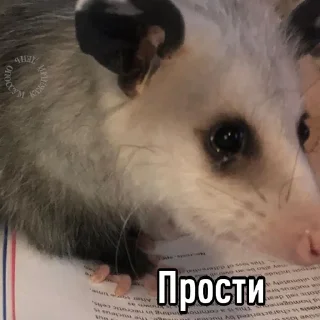 😔