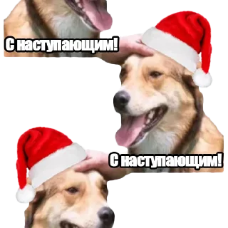 🎄