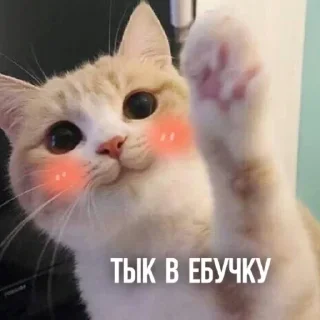 😝