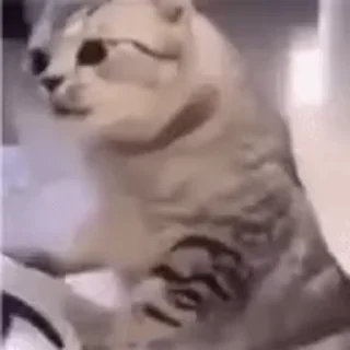 👀