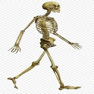 💀
