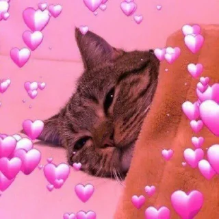 ☺️