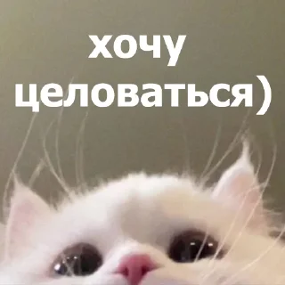 😚