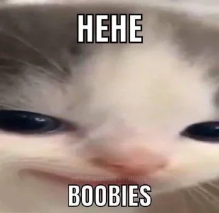 😭
